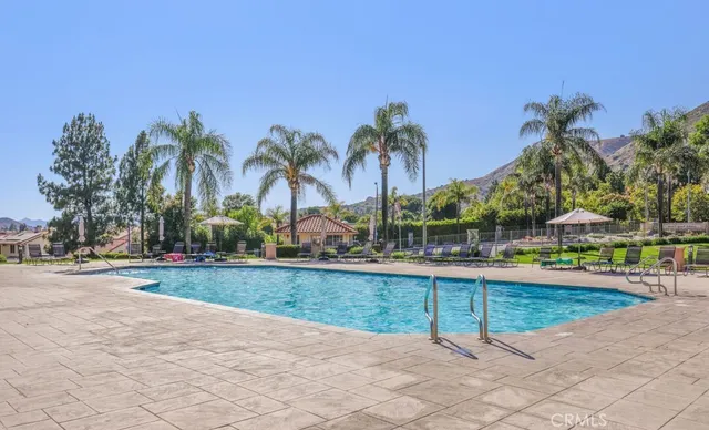 a view of a yard with palm trees