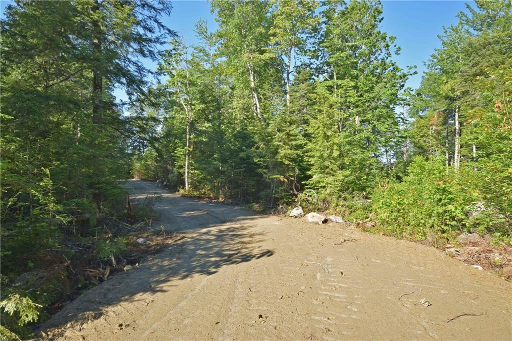 Lot 7 Loop Road Lincoln, ME 04457 - Photo 5 of 13 Photo