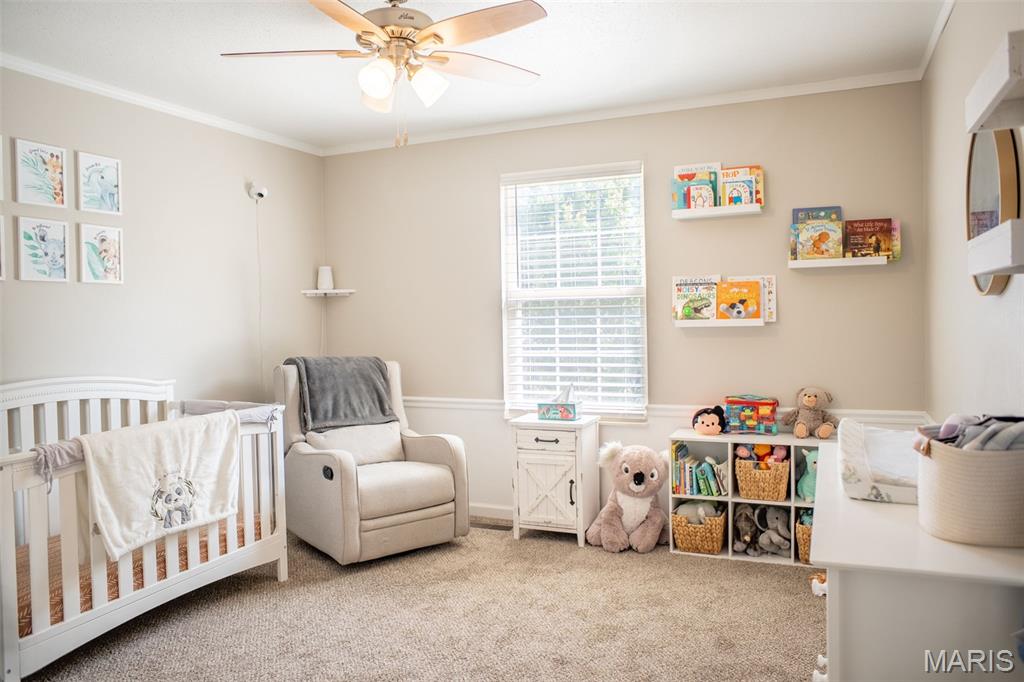 331 Logan Drive O'Fallon, IL 62269 - Photo 30 of 49