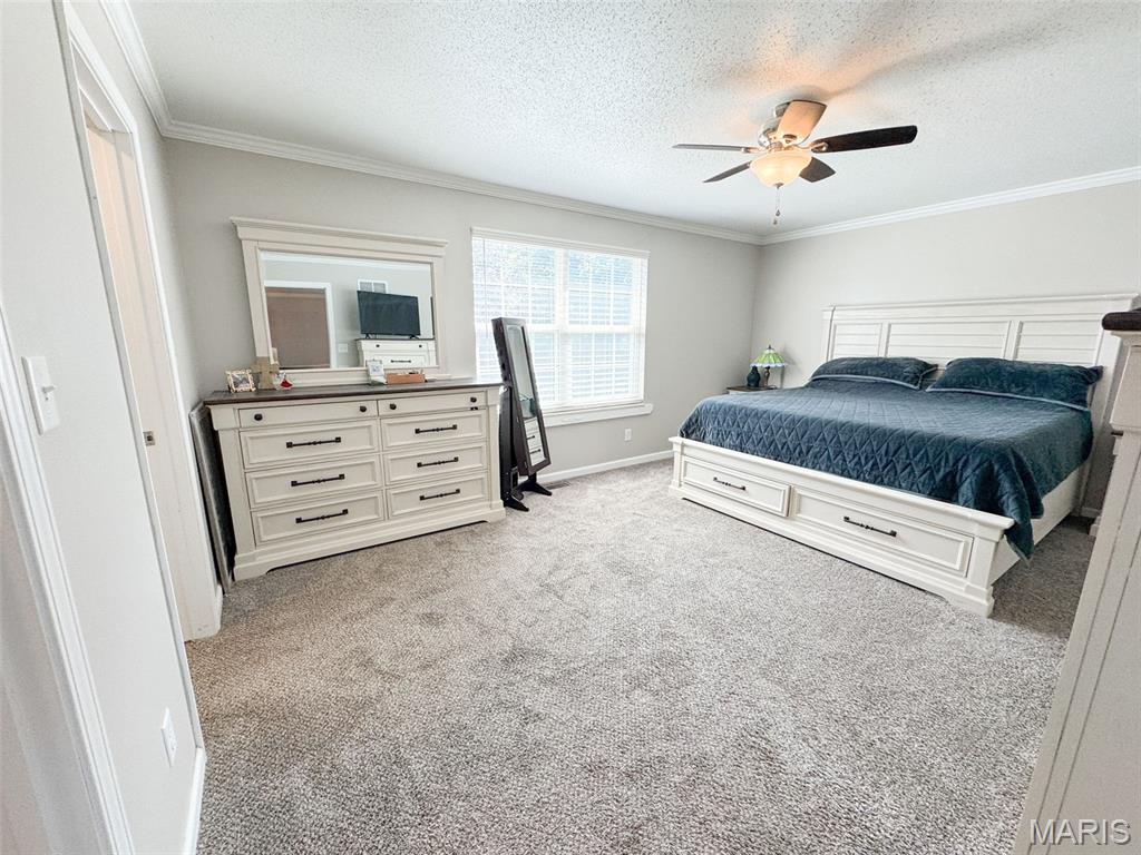 331 Logan Drive O'Fallon, IL 62269 - Photo 34 of 49