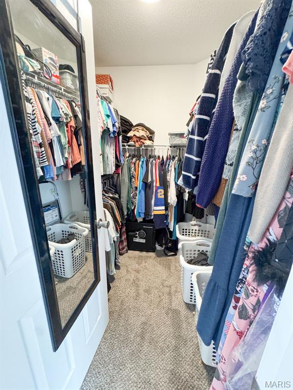 331 Logan Drive O'Fallon, IL 62269 - Photo 36 of 49