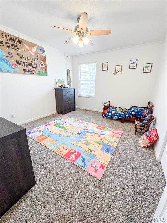 331 Logan Drive O'Fallon, IL 62269 - Photo 40 of 49