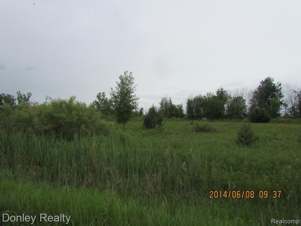 9999999 Cotter Road Marlette, MI 48453 - Photo 9 of 13 Battaglia vacant land on Gosline and Cotter Road (10) - Copy.jpg