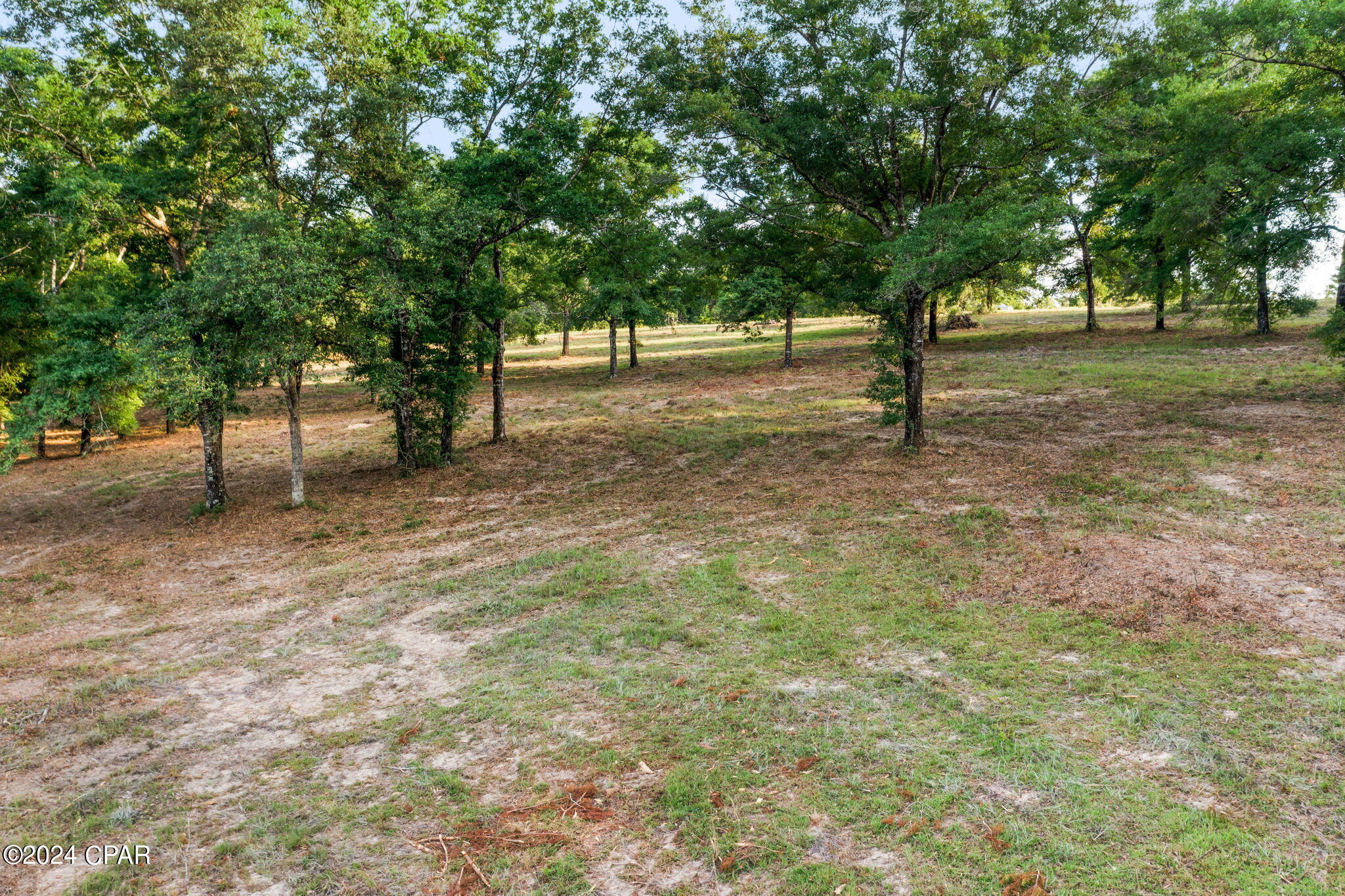 Tbd Twin Pond Road Vernon, FL 32462 - Photo 6 of 42 Gallery Image 6