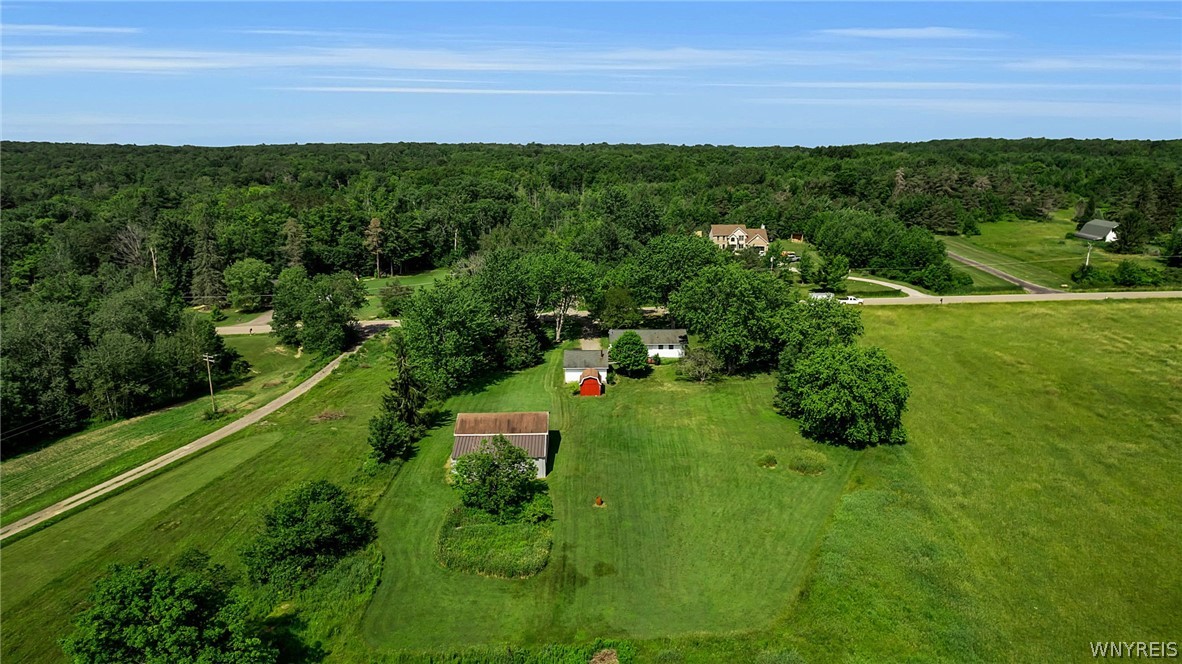 8009 Lewis Road Colden, NY 14080 - Photo 50 of 50