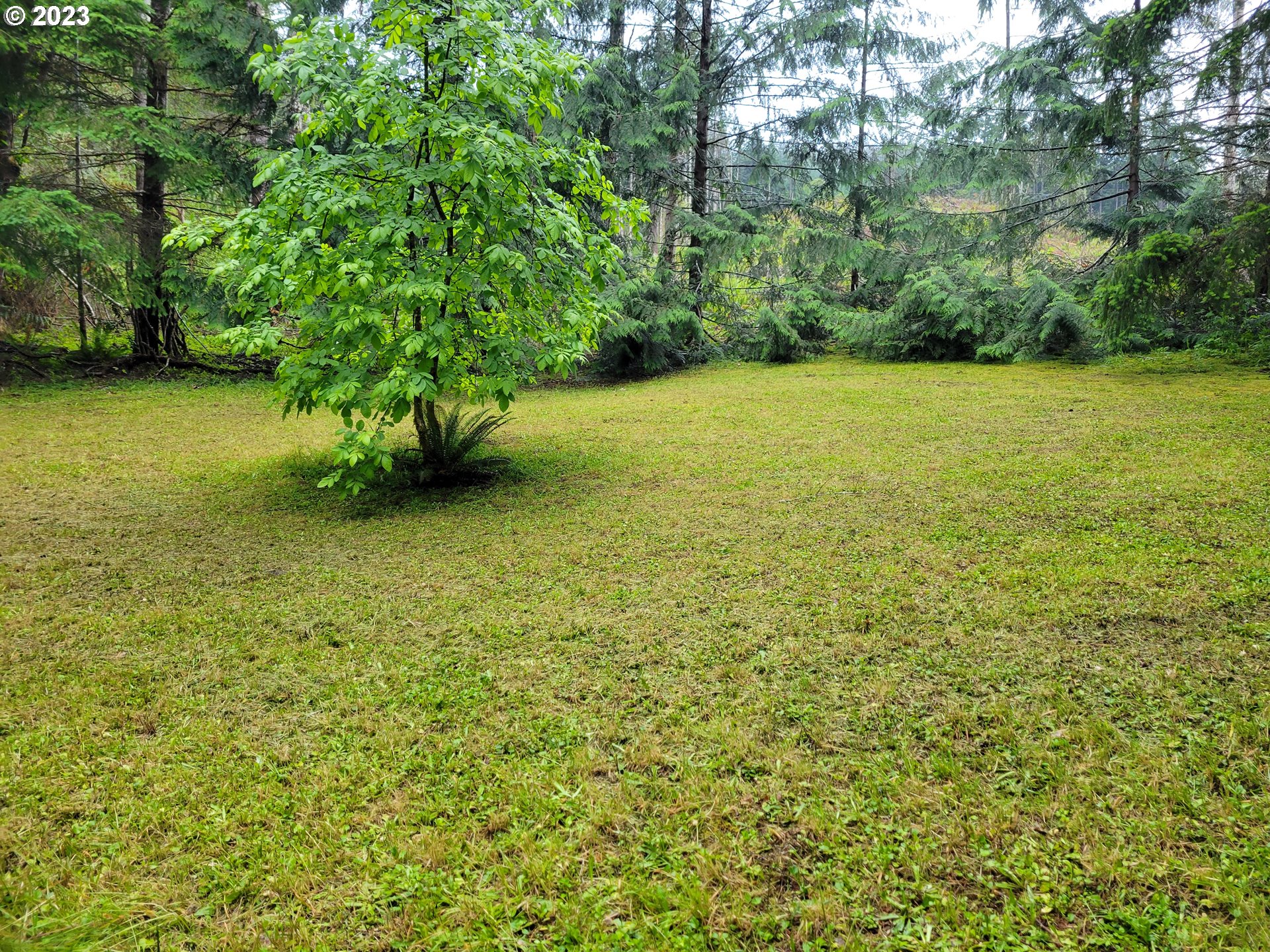 11565 Tyee Road Umpqua, OR 97486 - Photo 29 of 32 Gallery Image 29