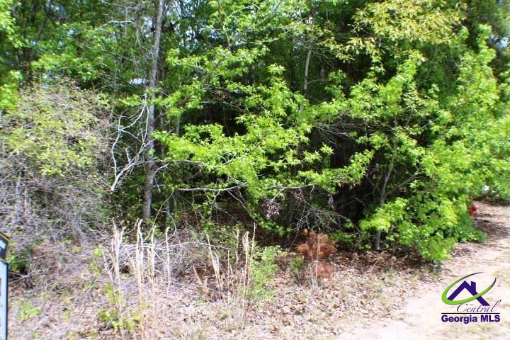 Lot 14 Payne Road Rentz, GA 31075 - Photo 7 of 8