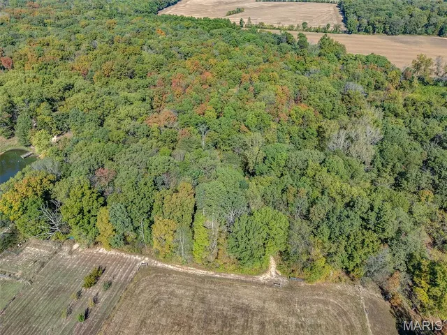 $499,900 | 7009 Hydrangea Road, Coulterville, IL 62237