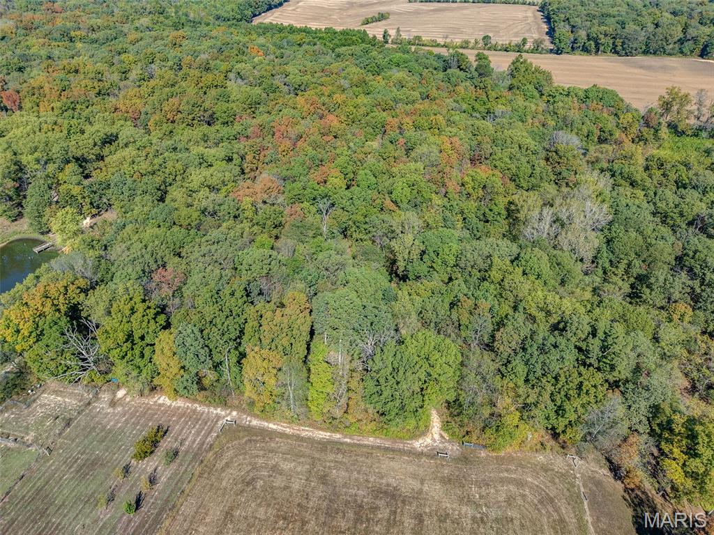 7009 Hydrangea Road Coulterville, IL 62237 - Photo 41 of 51