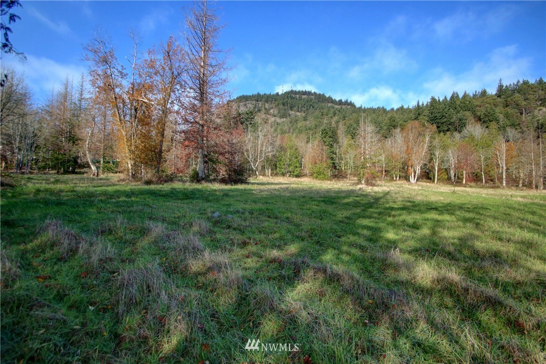 5619 Campbell Lake Road Anacortes, WA 98221 - Photo 4 of 12