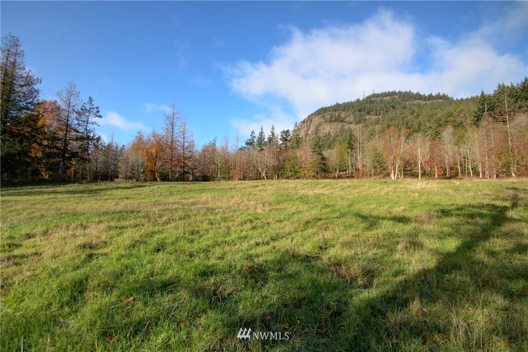 5619 Campbell Lake Road Anacortes, WA 98221 - Photo 5 of 12