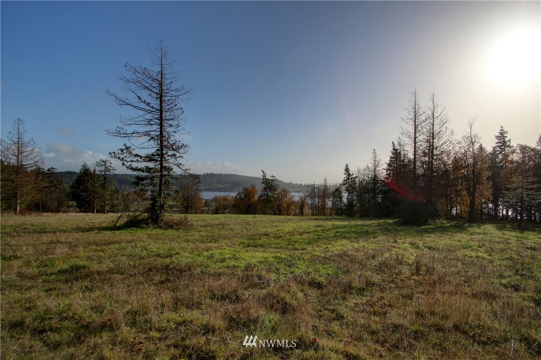 5619 Campbell Lake Road Anacortes, WA 98221 - Photo 6 of 12