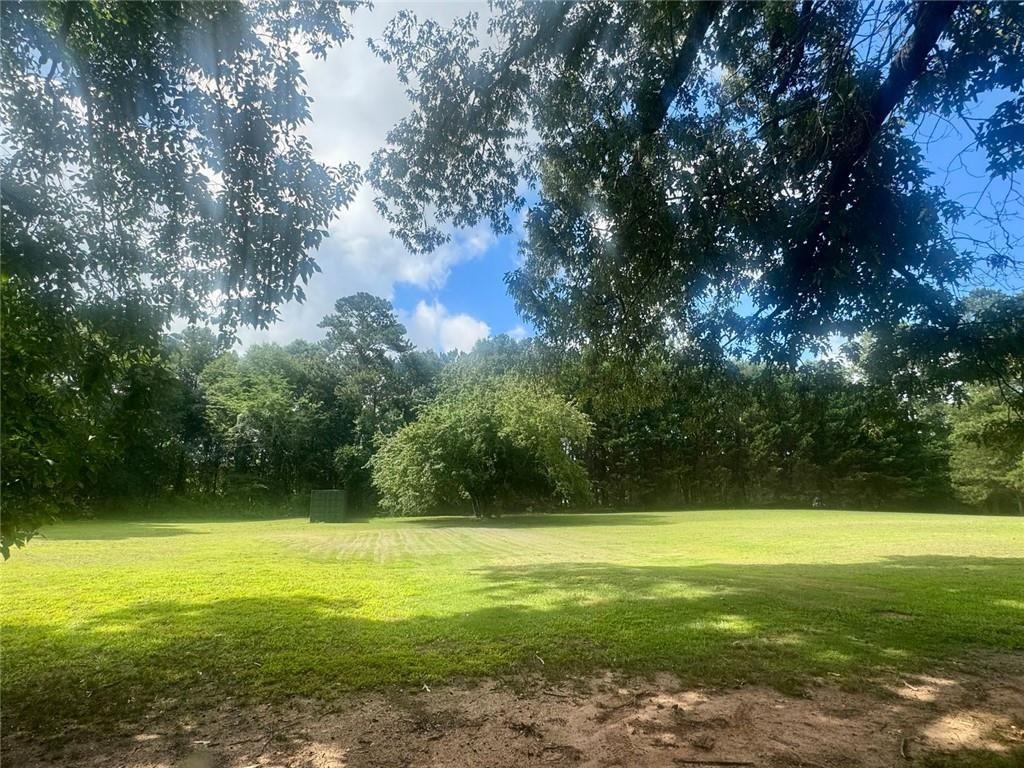2550 Conyers Road McDonough, GA 30252 - Photo 4 of 29 a view of outdoor space with a garden and trees