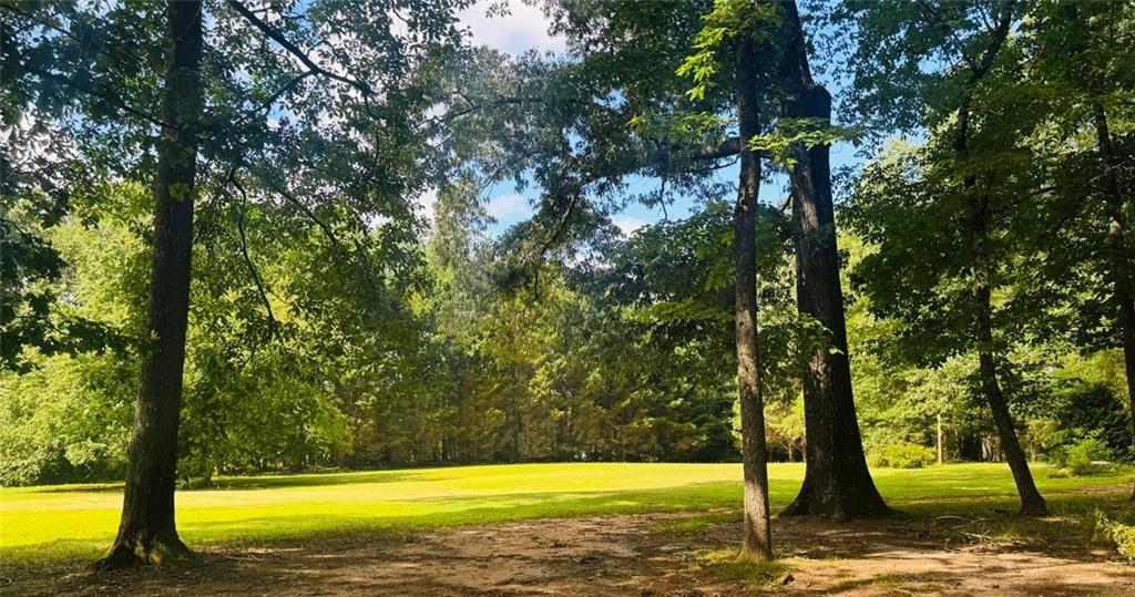 2550 Conyers Road McDonough, GA 30252 - Photo 6 of 29 a view of a yard with trees