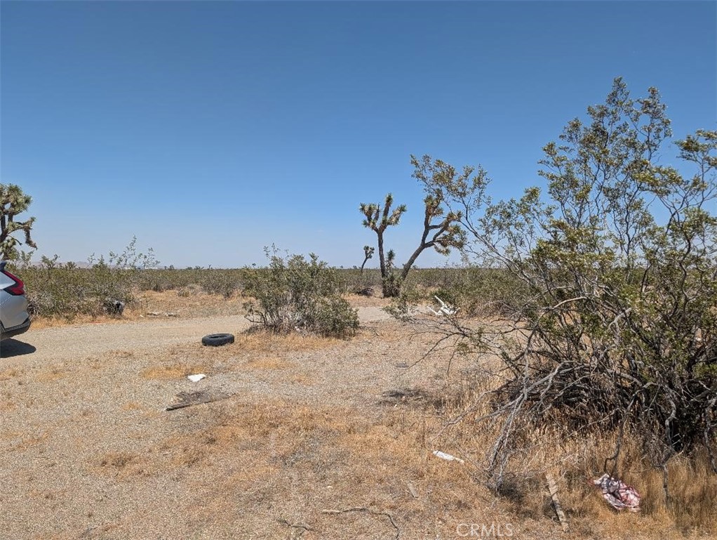 3 Dos Palmas Road Phelan, CA 92371 - Photo 4 of 5 a view of a dry yard with a tree