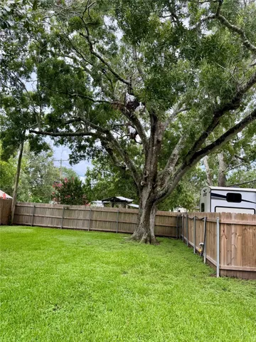 a view of a backyard with a tree