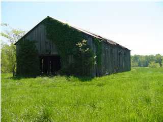0 Happy Ridge Road Bethlehem, KY 40007 - Photo 1 of 1 Primary Photo