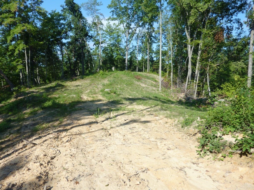 0 Atwell Mtn Road Raysal, WV 24879 - Photo 8 of 9 Gallery Image 8