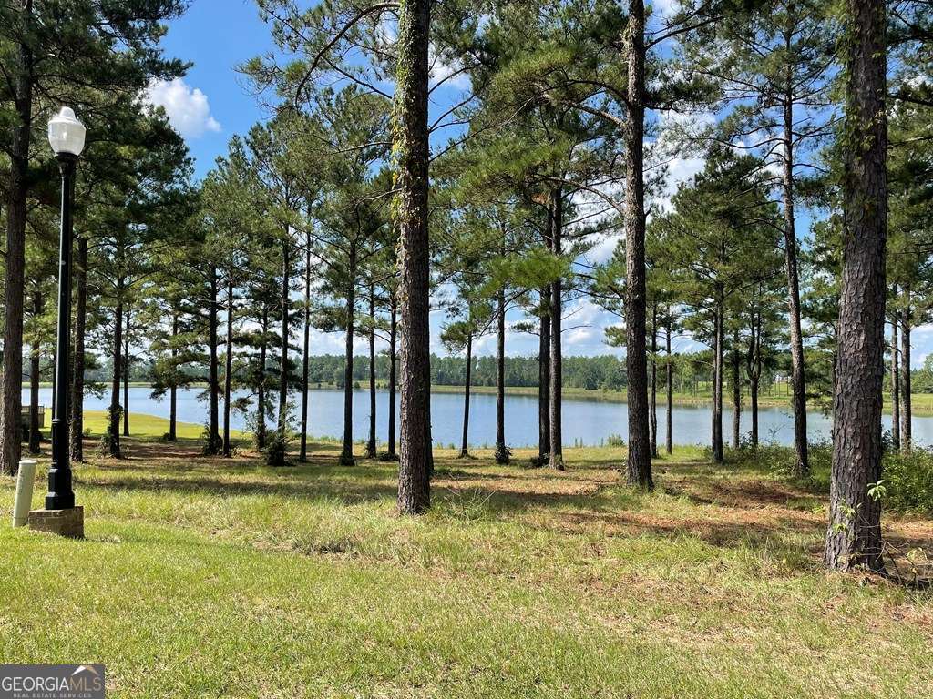 0 Thompson Level Road Lyons, GA 30436 - Photo 4 of 5