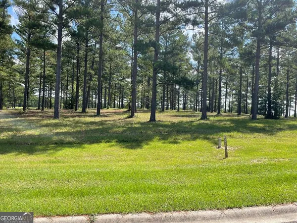 $35,000 | 0 Thompson Level Road, Lyons, GA 30436