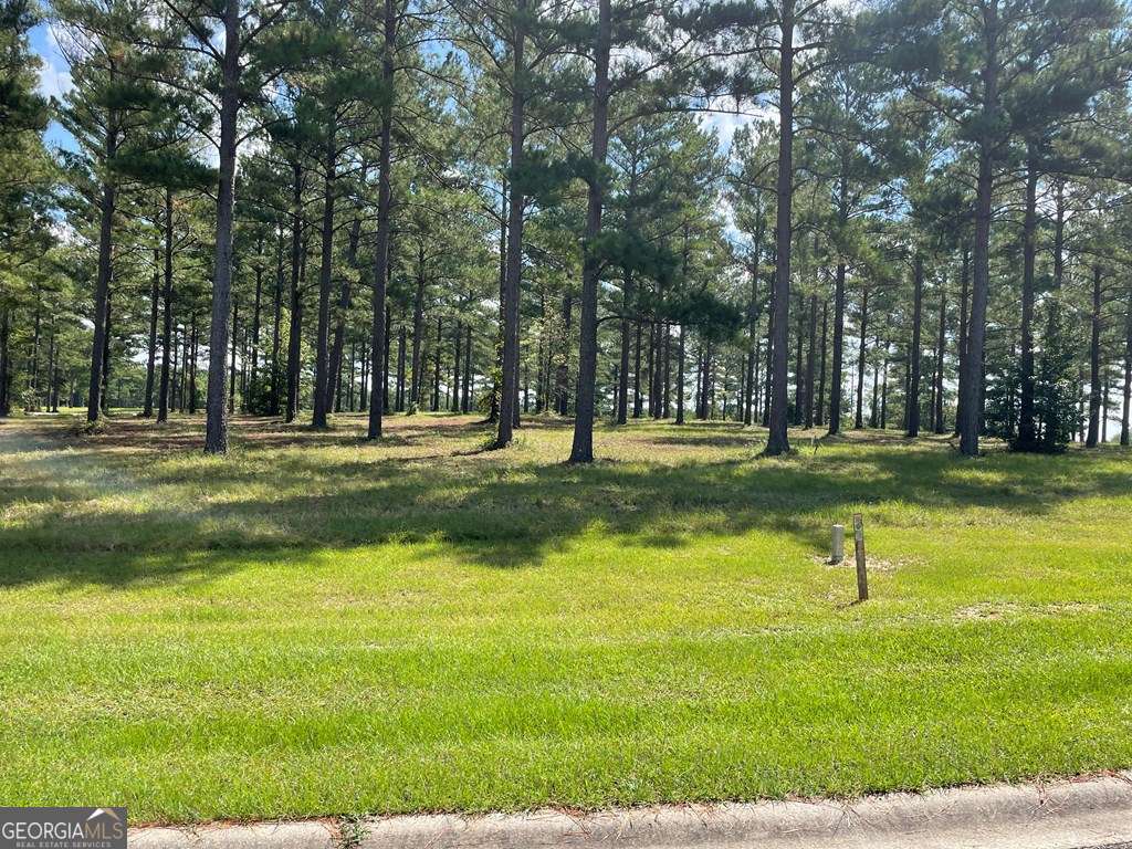 0 Thompson Level Road Lyons, GA 30436 - Photo 5 of 5