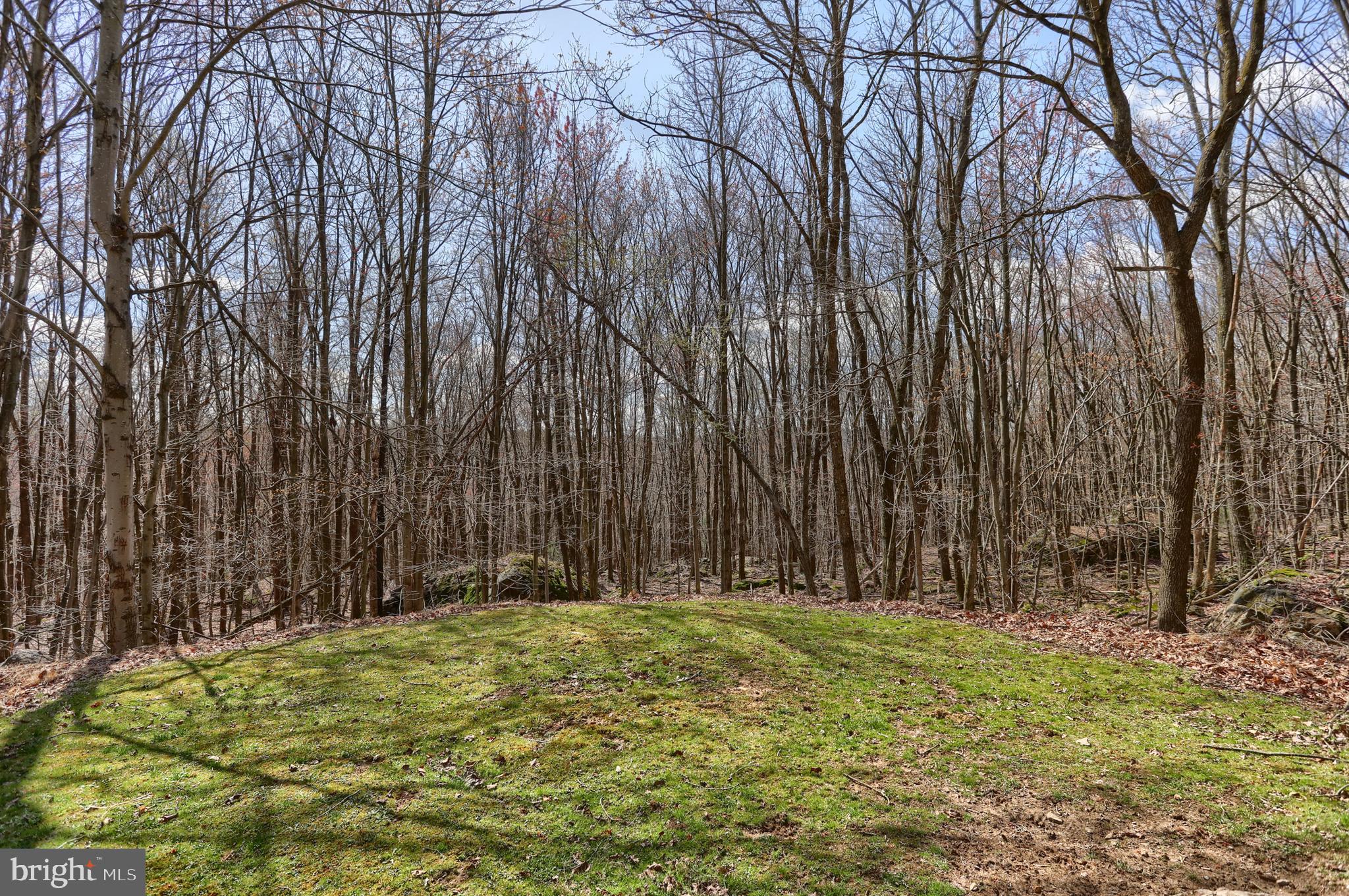 279 Hickory Ridge Road Newport, PA 17074 - Photo 42 of 57 Gallery Image 42