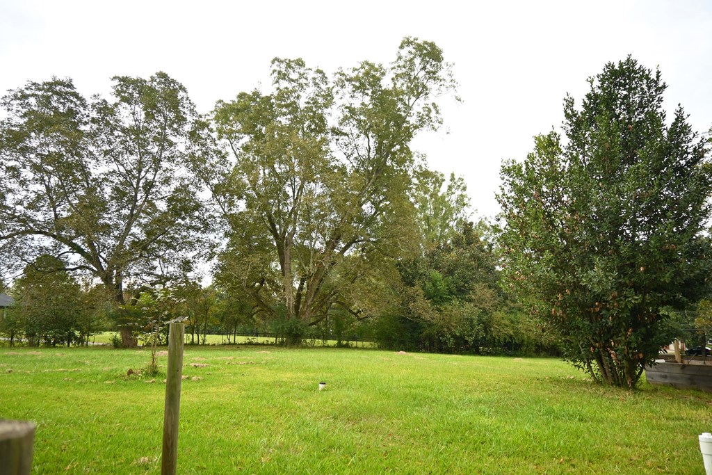 315 Ridgeway Road Waverly Hall, GA 31831 - Photo 17 of 18 Gallery Image 17