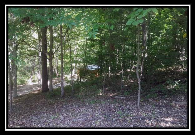 100 Walters Road Vinton, OH 45686 - Photo 2 of 8