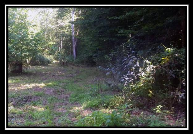 100 Walters Road Vinton, OH 45686 - Photo 5 of 8