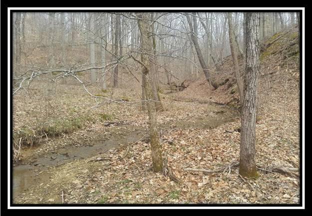 100 Walters Road Vinton, OH 45686 - Photo 8 of 8