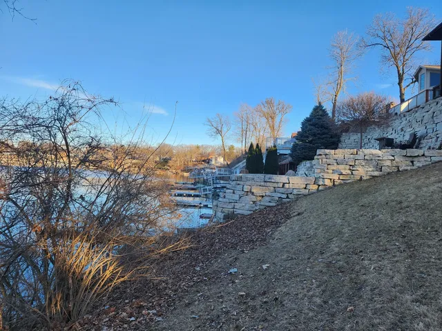 a view of a yard with a tree