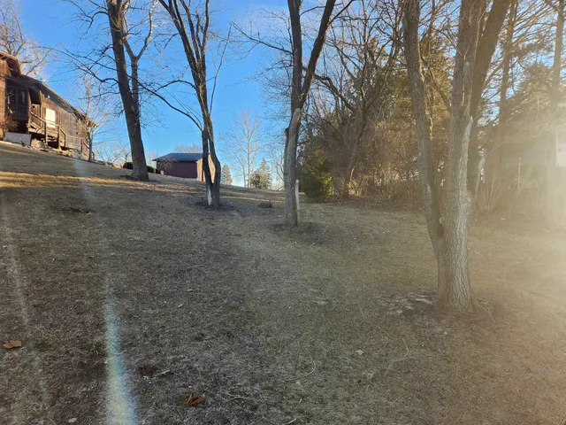 a view of a yard with a tree