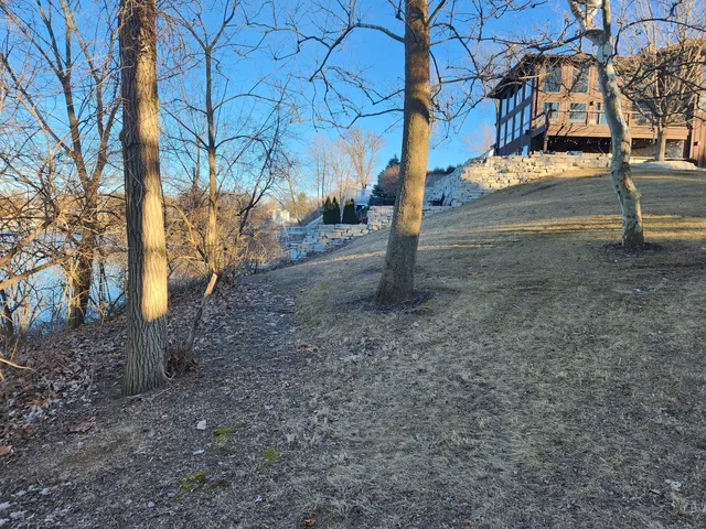 a view of a yard with trees