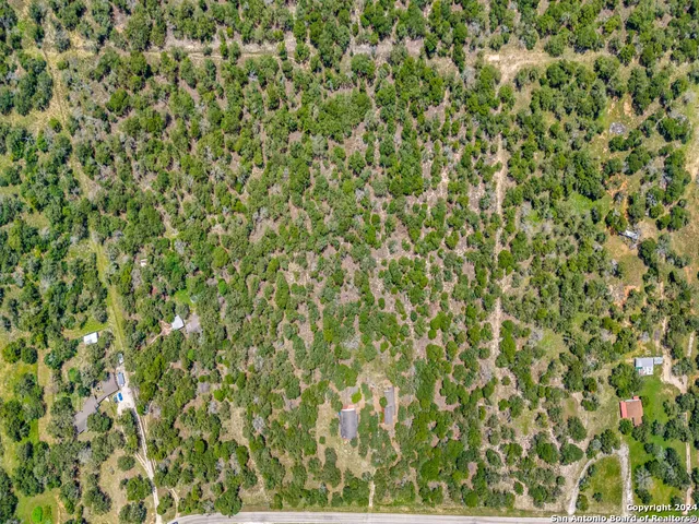 a view of a big yard with plants and large trees