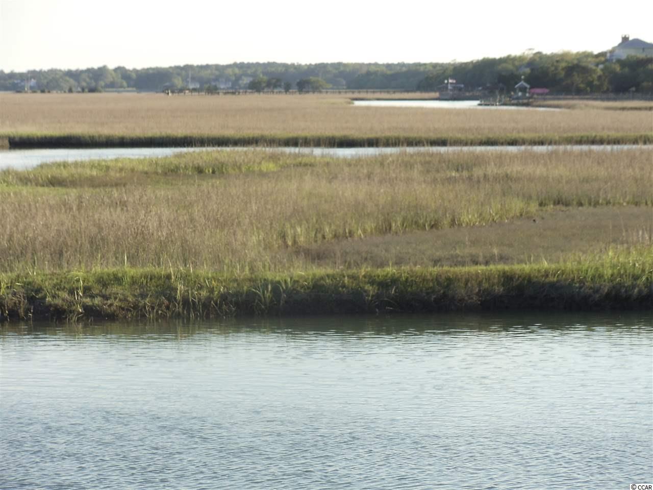 216 Gilman Road Pawleys Island, SC 29585 - Photo 9 of 9 Gallery Image 9
