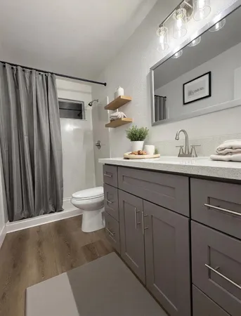 a bathroom with a toilet a sink and mirror
