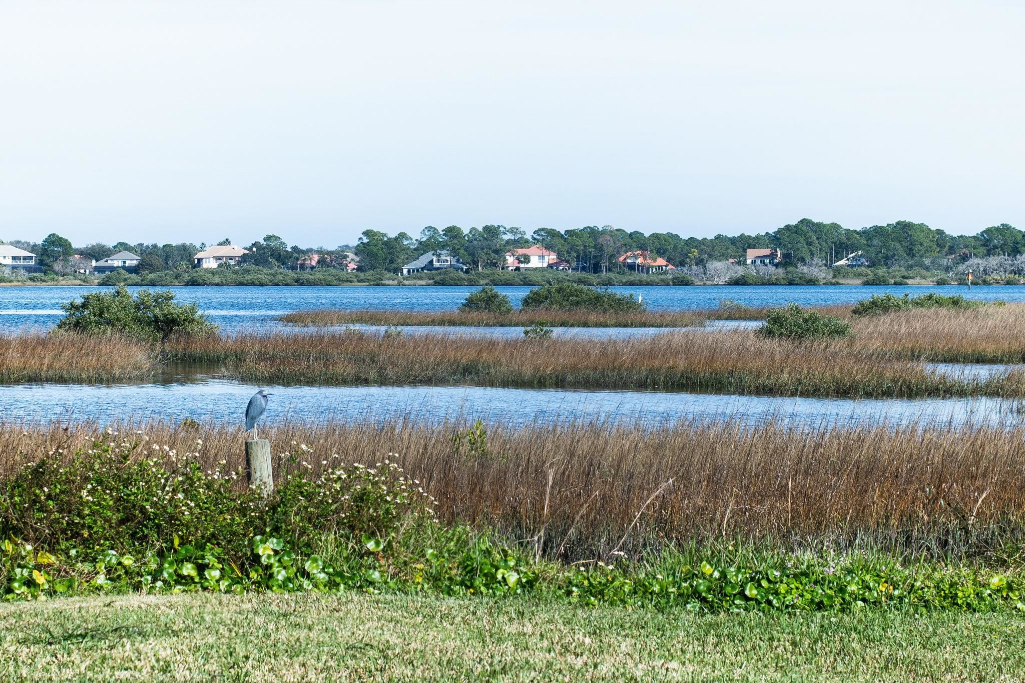 129 Pelican Road St. Augustine, FL 32086 - Photo 34 of 35 a view of lake
