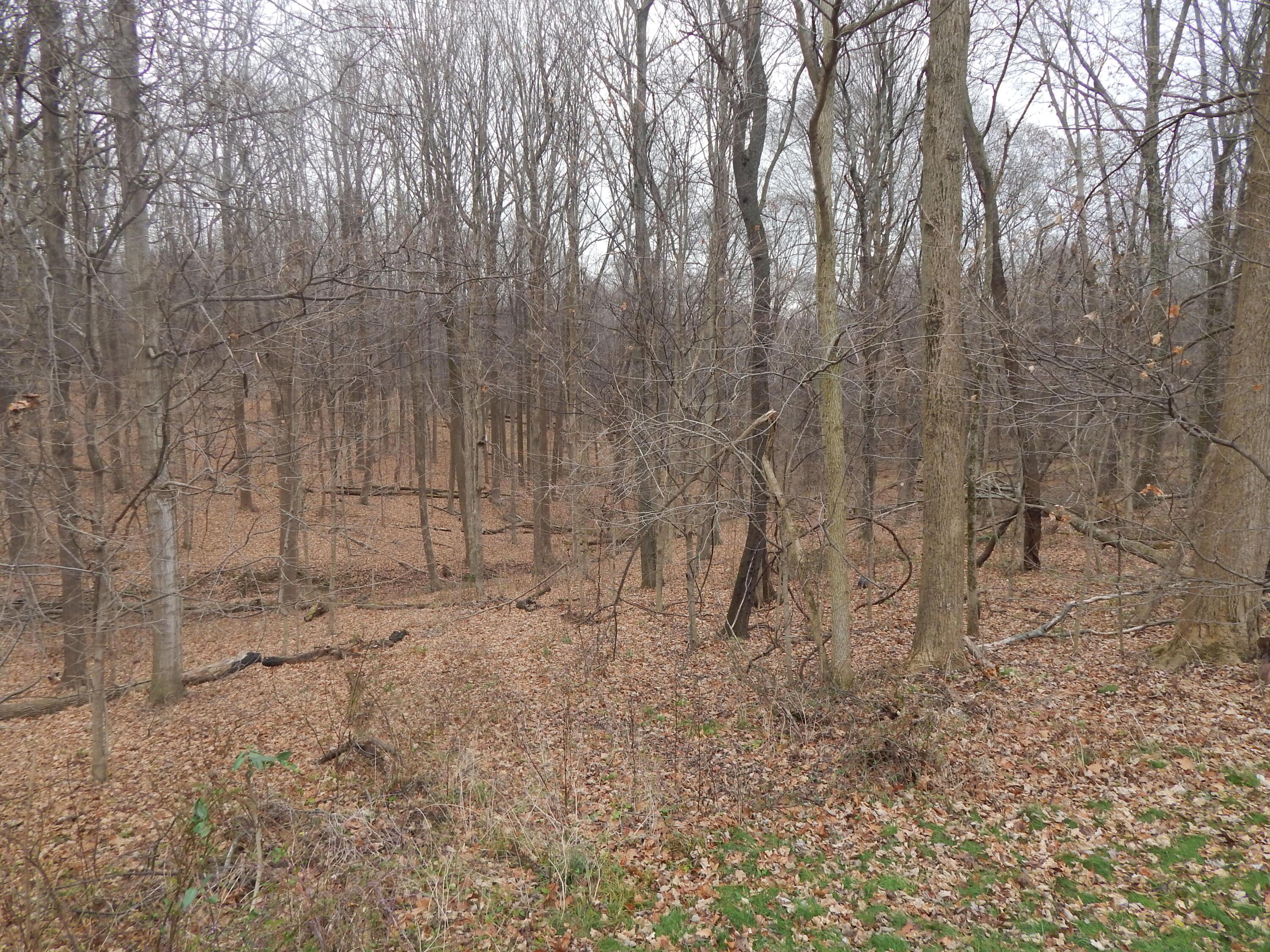 3360 West Point Road Southeast Lancaster, OH 43130 - Photo 33 of 34 DSCN0221