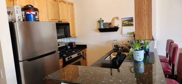 $2,500 | 1525 South Michigan Avenue, Unit 311, Chicago, IL 60605