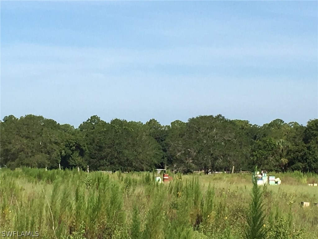 3320 Packinghouse Road Alva, FL 33920 - Photo 1 of 12 a view of a lush green space