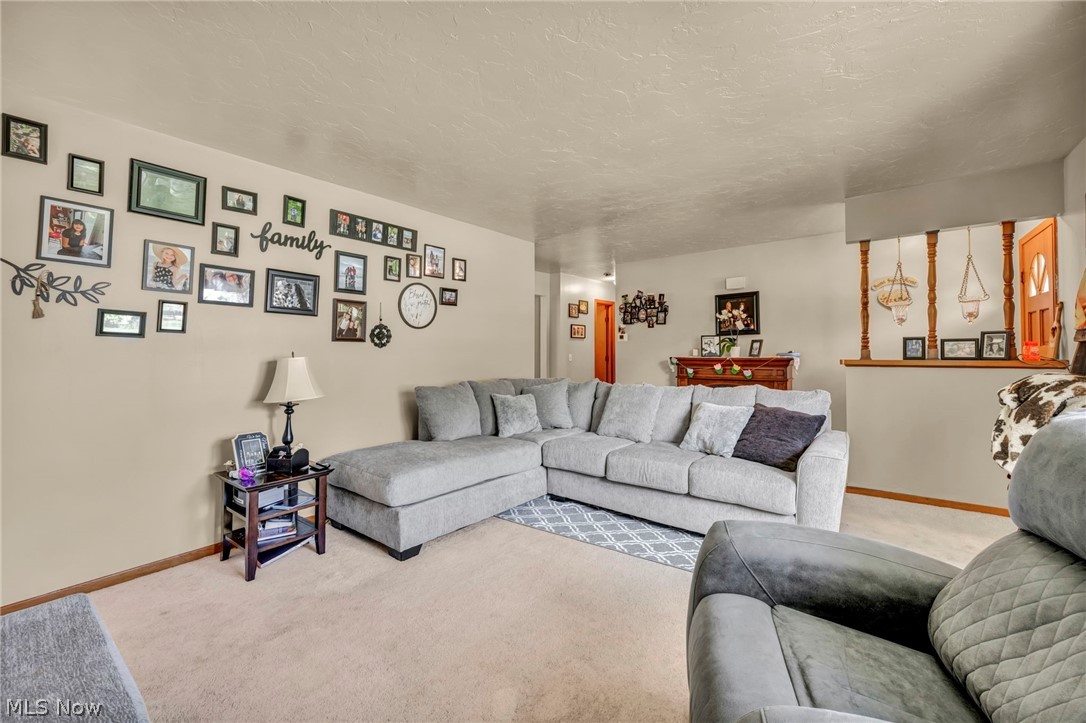 1141 Novak Road Grafton, OH 44044 - Photo 10 of 40 Gallery Image 10