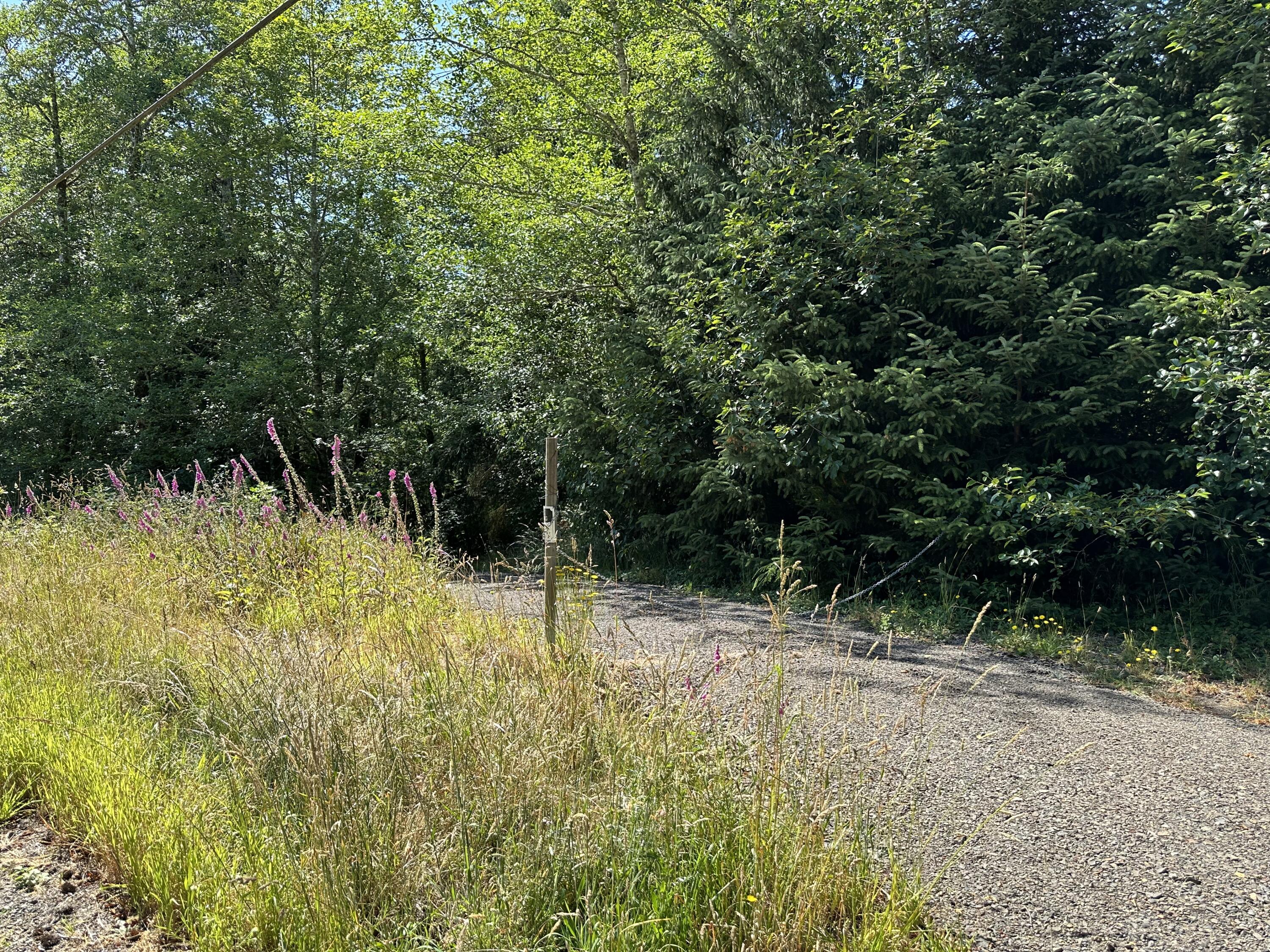 Lot#00300 Whiskey Creek Road Tillamook, OR 97141 - Photo 3 of 14 Driveway Entrance