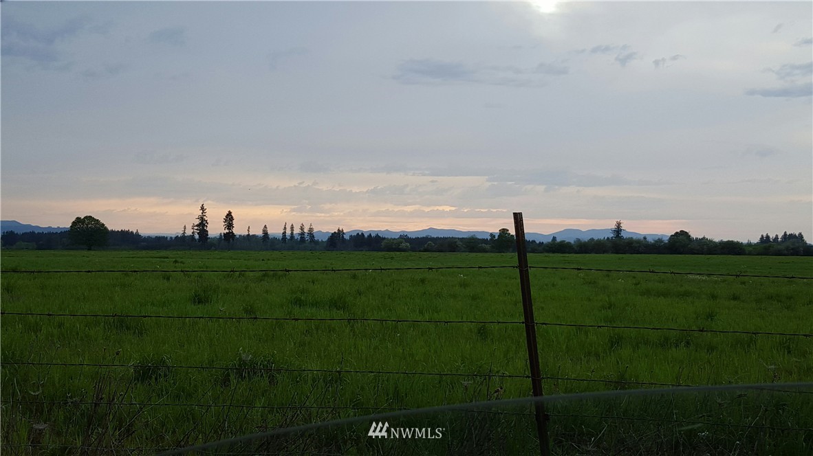 -xx Layton Road Toledo, WA 98591 - Photo 1 of 1