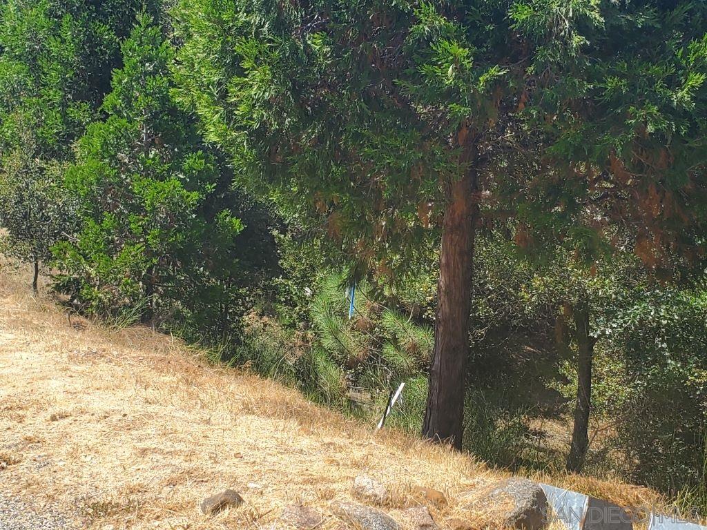 830 Julian Estates Road Julian, CA 92036 - Photo 19 of 20 Gallery Image 19