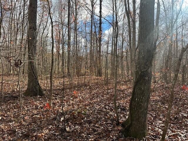 10 Prater Road Pikeville, TN 37367 - Photo 27 of 30 Gallery Image 27