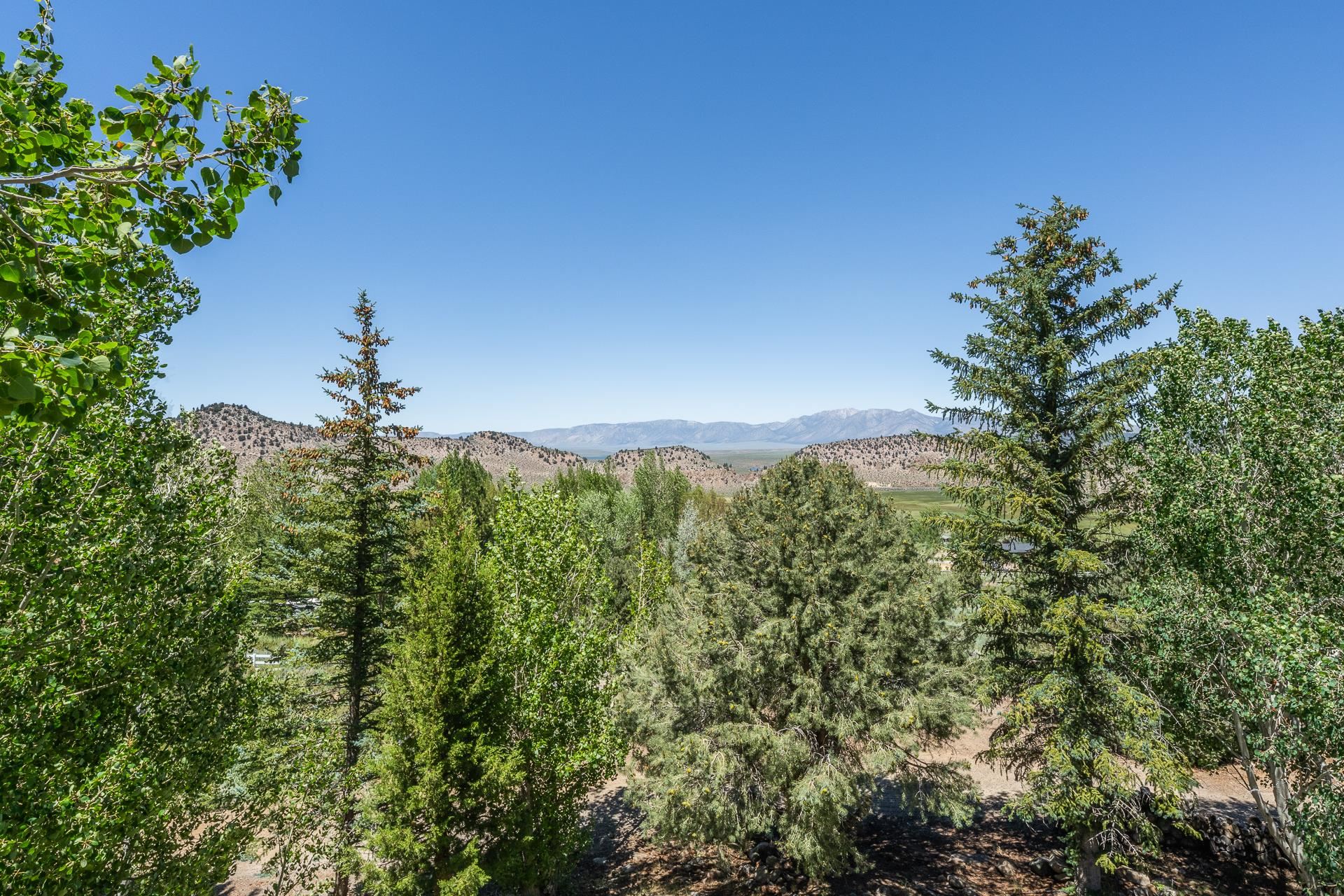 537 Aspen Spring Ranch Road Mammoth Lakes, CA 93546 - Photo 12 of 40 Expansive natural landscape featuring a clear blue sky, distant mountains, and dense evergreen and deciduous trees