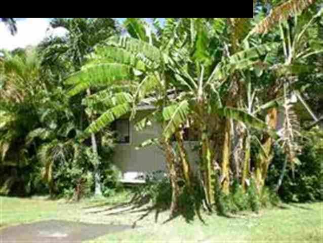1667 South Kihei Road, Unit D Kihei, HI 96753 - Photo 3 of 13 a backyard of a house with lots of green space