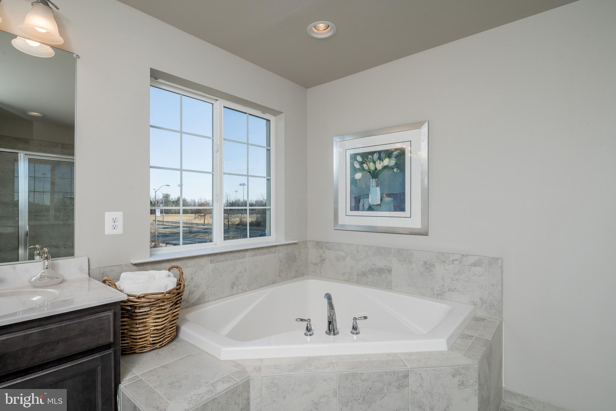 6440 Hanover Road Hanover, MD 21076 - Photo 10 of 29 Soaking Tub