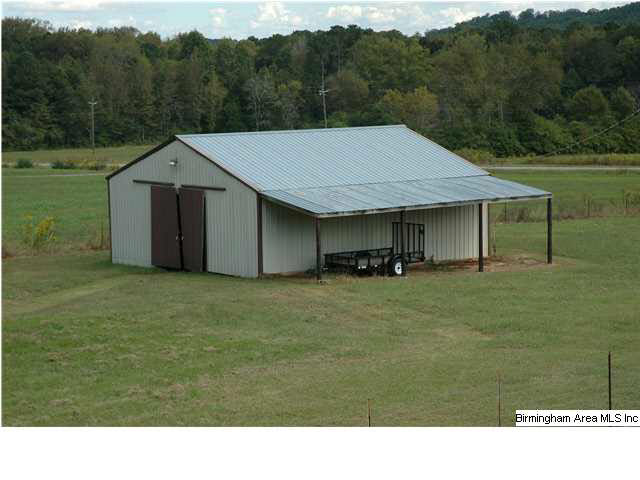 3093 Crawford Cove Road Springville, AL 35146 - Photo 3 of 31