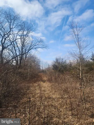 $250,000 | 0 Limekiln Pike, Chalfont, PA 18914